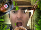 Ten taps Snapchat for I'm A Celeb launch